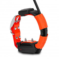 Collar Localizador GPS Dog Trace X30-T con modulo educativo Dog Trace